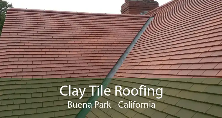 Clay Tile Roofing Buena Park - California