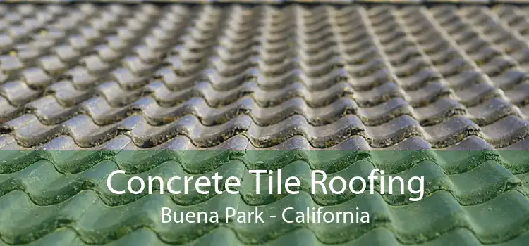 Concrete Tile Roofing Buena Park - California