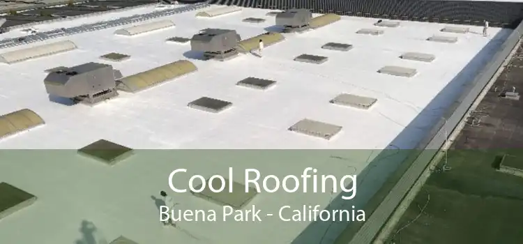 Cool Roofing Buena Park - California
