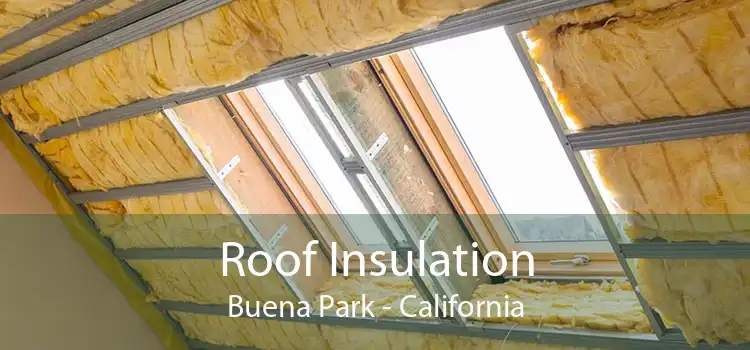 Roof Insulation Buena Park - California