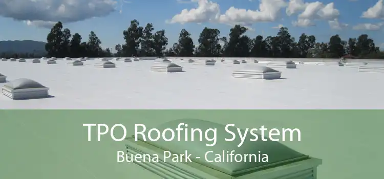 TPO Roofing System Buena Park - California